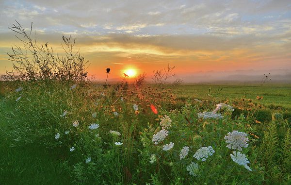 sunrise-in-hackmatack-national-wildlife-refuge-in-mchenry-county-ray-mathis