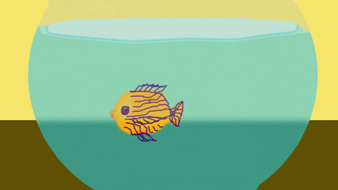 fishtank